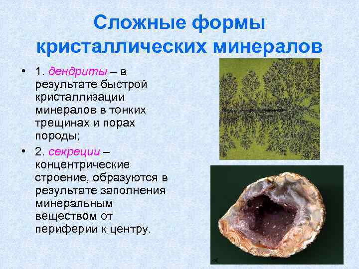 Сложные формы кристаллических минералов • 1. дендриты – в результате быстрой кристаллизации минералов в