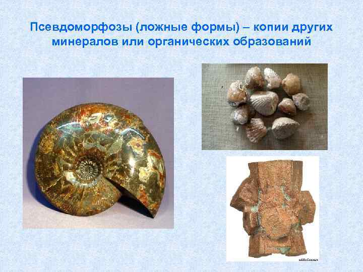 Псевдоморфозы (ложные формы) – копии других минералов или органических образований 