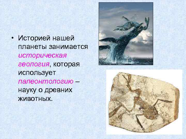  • Историей нашей планеты занимается историческая геология, которая использует палеонтологию – науку о