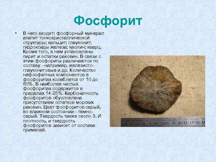 Фосфорит • В него входят: фосфорный минерал апатит тонкокристаллической структуры; кальцит; глауконит; гидроксиды железа;