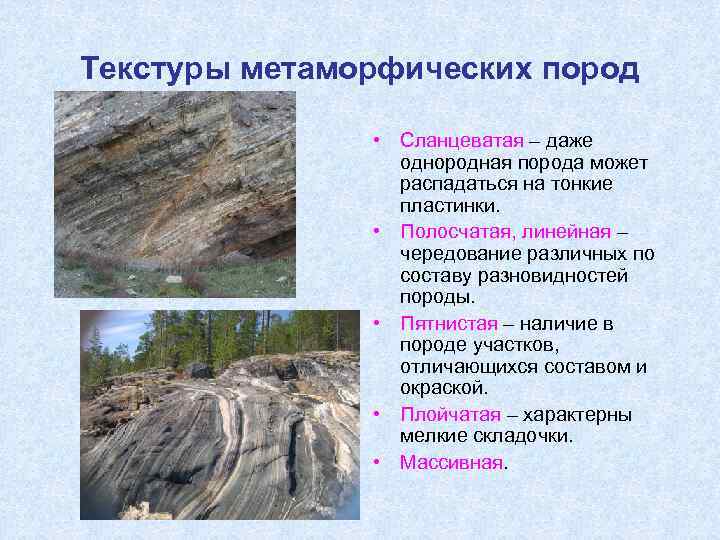 Текстуры метаморфических пород • Сланцеватая – даже однородная порода может распадаться на тонкие пластинки.