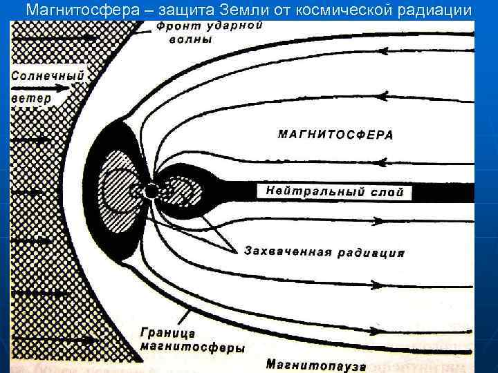 Магнитосфера – защита Земли от космической радиации n Схема из учебника 