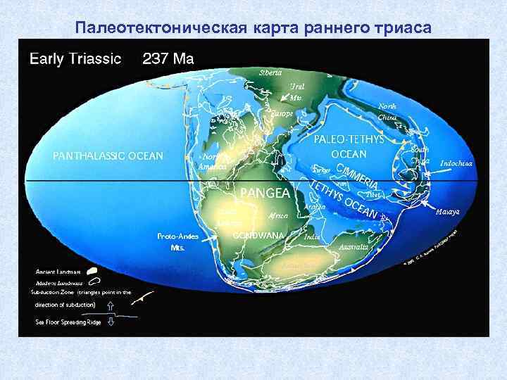Палеотектоническая карта раннего триаса 