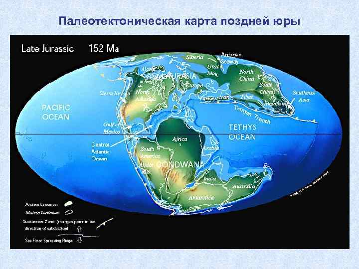 Палеотектоническая карта поздней юры 