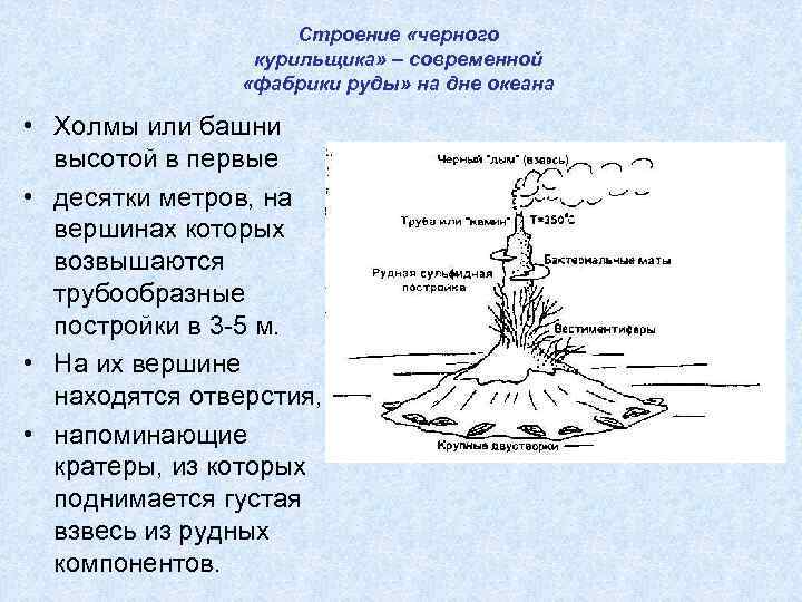 Строение «черного курильщика» – современной «фабрики руды» на дне океана • Холмы или башни