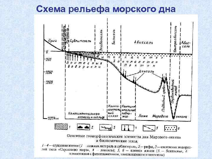 Схема рельефа морского дна 