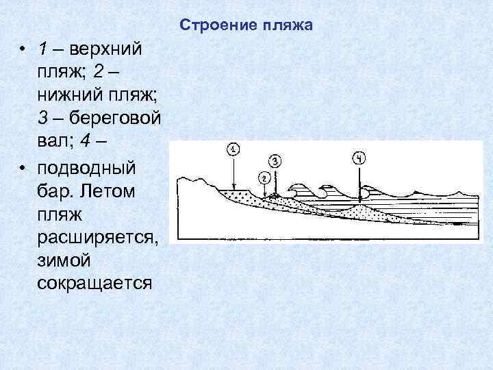 Строение моря схема