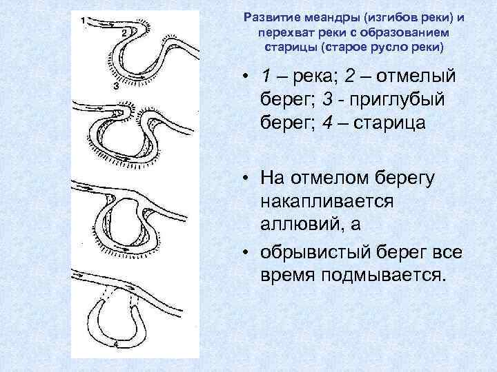 Развитие меандры (изгибов реки) и перехват реки с образованием старицы (старое русло реки) •