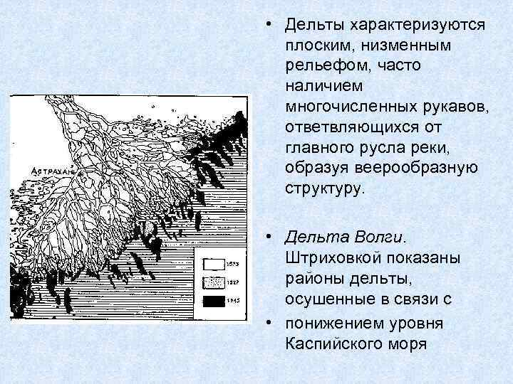  • Дельты характеризуются плоским, низменным рельефом, часто наличием многочисленных рукавов, ответвляющихся от главного