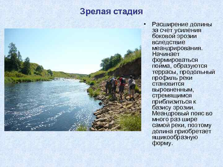 Зрелая стадия • Расширение долины за счет усиления боковой эрозии вследствие меандрирования. Начинает формироваться