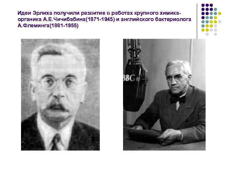 Идеи Эрлиха получили развитие в работах крупного химикаорганика А. Е. Чичибабина(1871 -1945) и английского