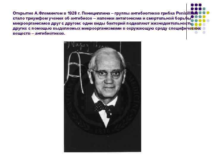 Открытие А. Флемингом в 1928 г. Пенициллина – группы антибиотиков грибка Penicillium стало триумфом