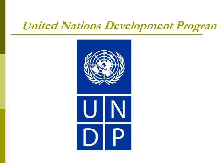 United Nations Development Program 