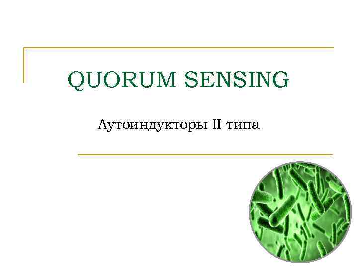 QUORUM SENSING Аутоиндукторы II типа 