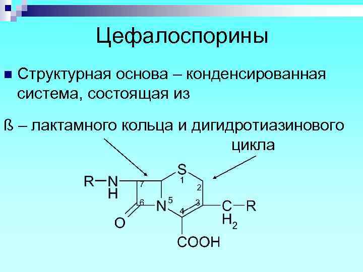 Цефалоспорины n Структурная основа – конденсированная система, состоящая из ß – лактамного кольца и