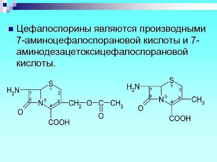 n Цефалоспорины являются производными 7 -аминоцефалоспорановой кислоты и 7 аминодезацетоксицефалоспорановой кислоты. 