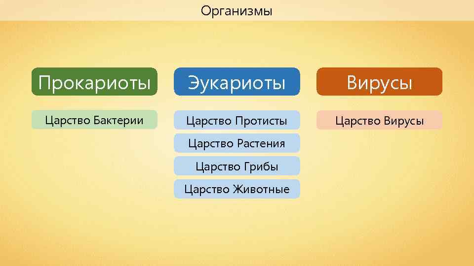 Организмы Прокариоты Эукариоты Вирусы Царство Бактерии Царство Протисты Царство Вирусы Царство Растения Царство Грибы