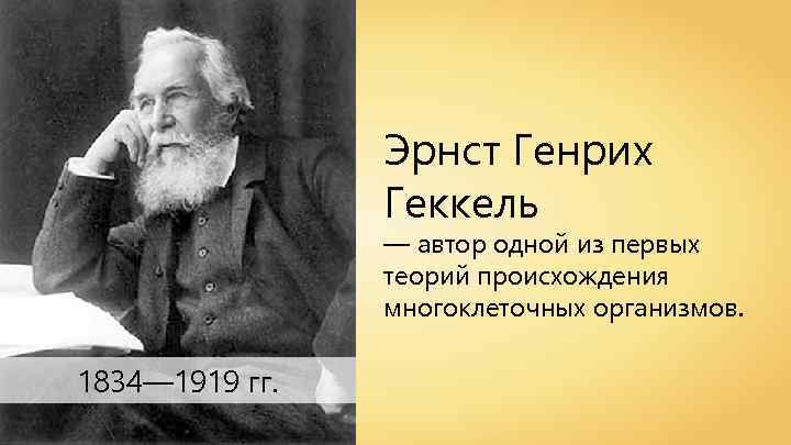 Эрнст Генрих Геккель — автор одной из первых теорий происхождения многоклеточных организмов. 1834— 1919