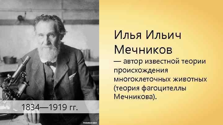 Илья Ильич Мечников — автор известной теории происхождения многоклеточных животных (теория фагоцителлы Мечникова). 1834—