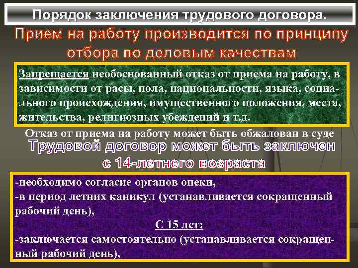 Порядок заключения трудового договора. Запрещается необоснованный отказ от приема на работу, в зависимости от