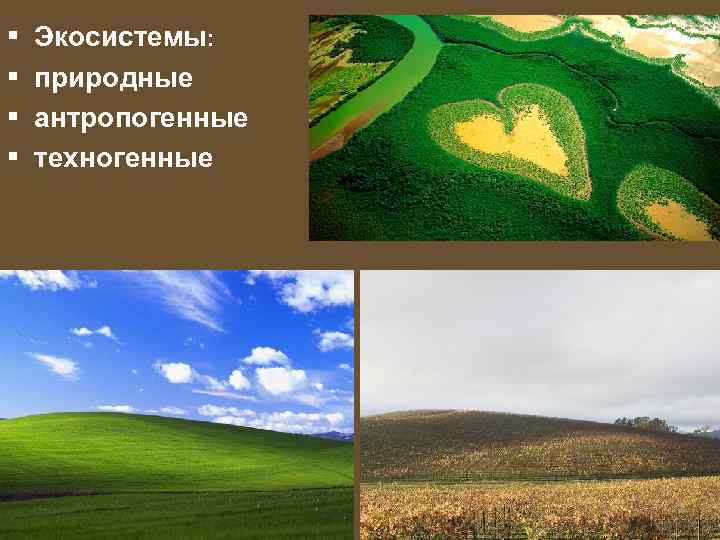  • • Экосистемы: природные антропогенные техногенные 