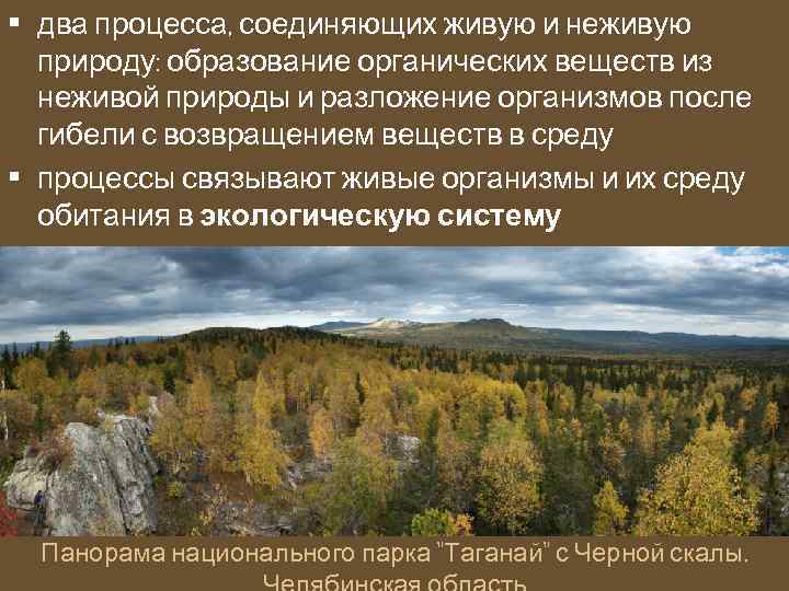  • два процесса, соединяющих живую и неживую природу: образование органических веществ из неживой