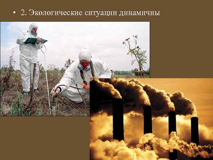  • 2. Экологические ситуации динамичны 