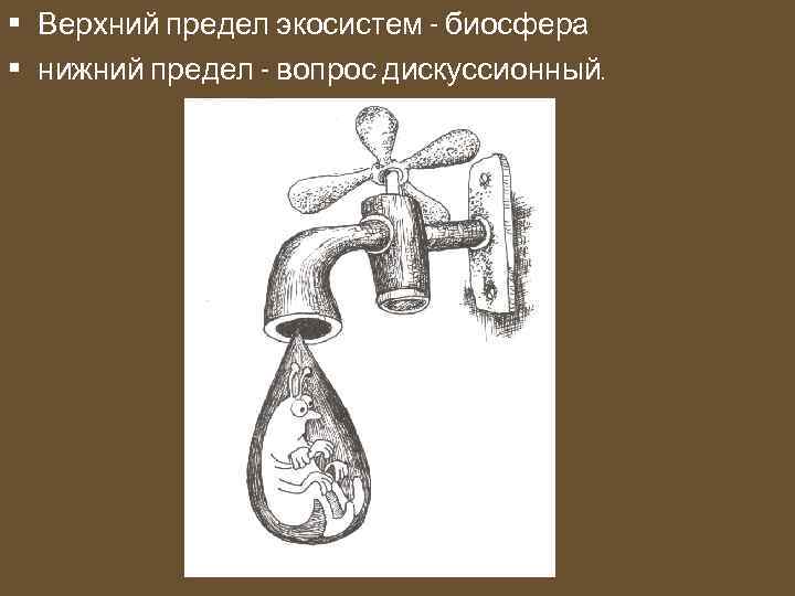  • Верхний предел экосистем - биосфера • нижний предел - вопрос дискуссионный. 