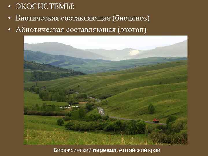  • ЭКОСИСТЕМЫ: • Биотическая составляющая (биоценоз) • Абиотическая составляющая (экотоп) Бирюксинский перевал, Алтайский