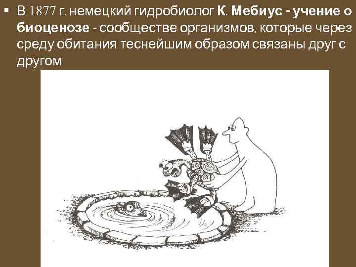  • В 1877 г. немецкий гидробиолог К. Мебиус - учение о биоценозе -