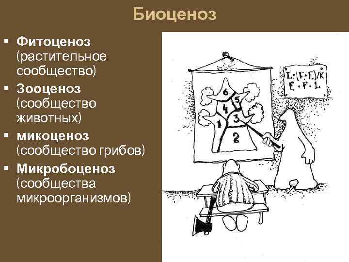 Биоценоз • Фитоценоз (растительное сообщество) • Зооценоз (сообщество животных) • микоценоз (сообщество грибов) •