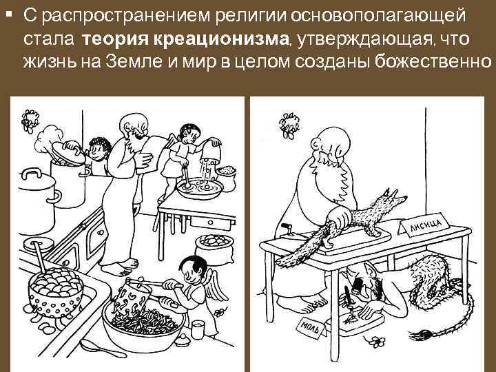  • С распространением религии основополагающей стала теория креационизма, утверждающая, что жизнь на Земле