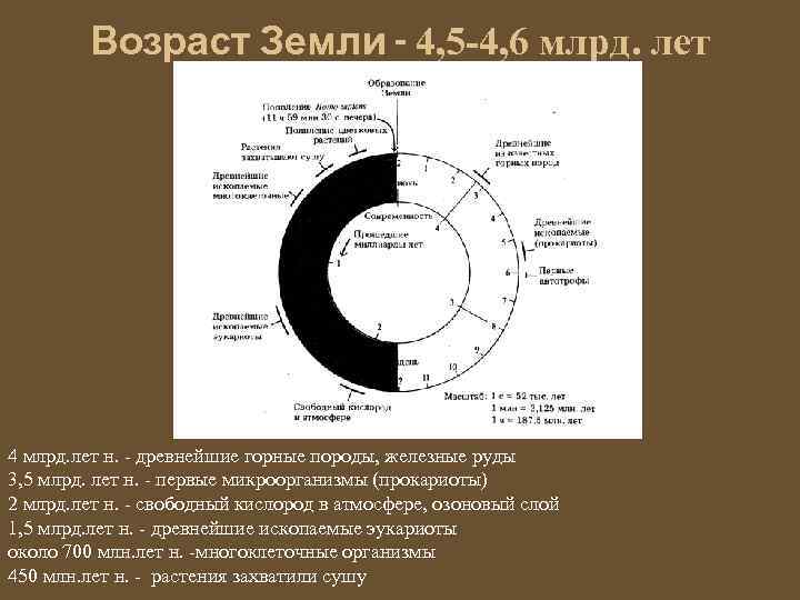 Возраст Земли - 4, 5 -4, 6 млрд. лет 4 млрд. лет н. -