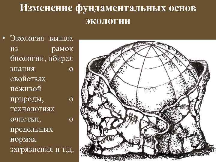 Изменение фундаментальных основ экологии • Экология вышла из рамок биологии, вбирая знания о свойствах