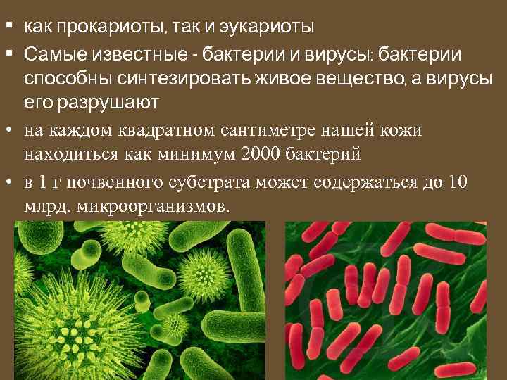  • как прокариоты, так и эукариоты • Самые известные - бактерии и вирусы: