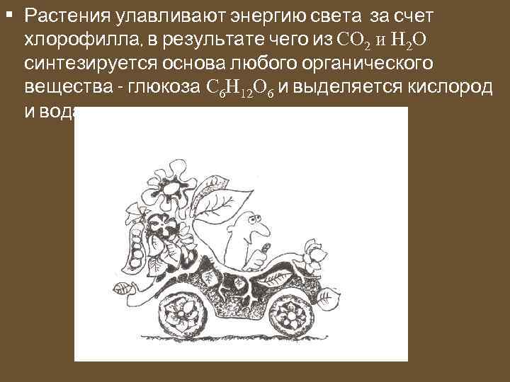  • Растения улавливают энергию света за счет хлорофилла, в результате чего из СО