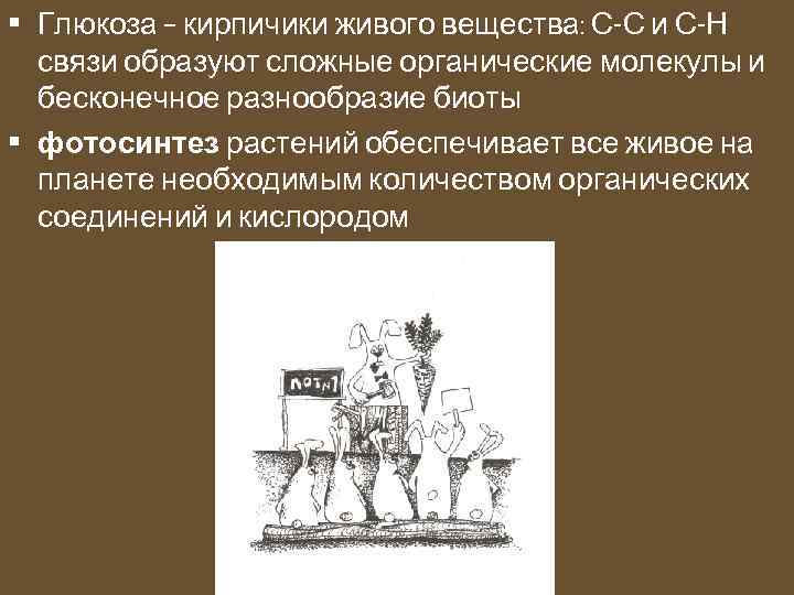  • Глюкоза – кирпичики живого вещества: С-С и С-Н связи образуют сложные органические