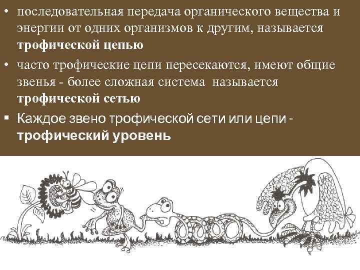  • последовательная передача органического вещества и энергии от одних организмов к другим, называется
