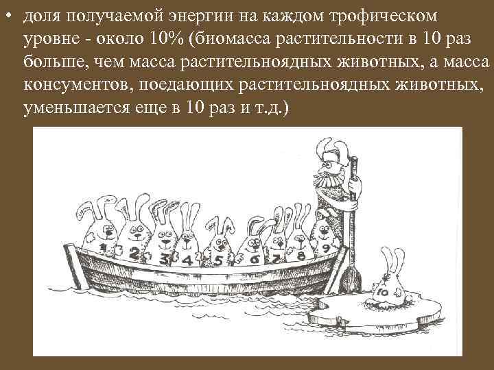  • доля получаемой энергии на каждом трофическом уровне - около 10% (биомасса растительности