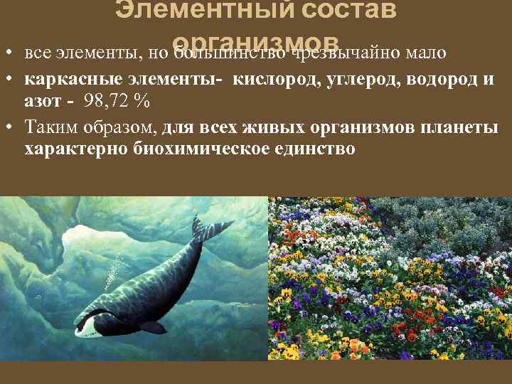 Элементный состав все элементы, но организмов большинство чрезвычайно мало • • каркасные элементы- кислород,