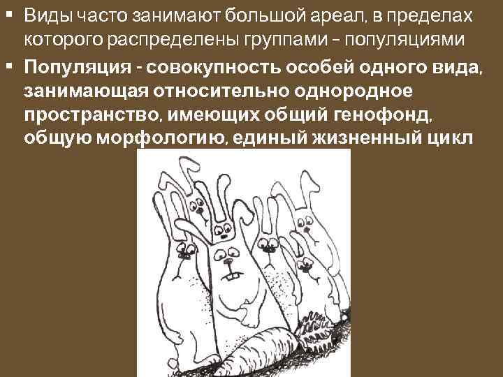  • Виды часто занимают большой ареал, в пределах которого распределены группами – популяциями