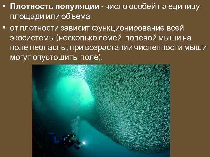  • Плотность популяции - число особей на единицу площади или объема. • от