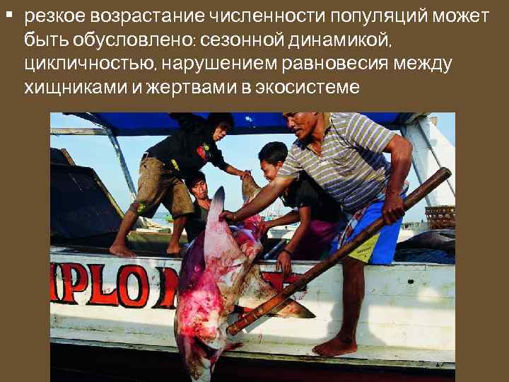  • резкое возрастание численности популяций может быть обусловлено: сезонной динамикой, цикличностью, нарушением равновесия