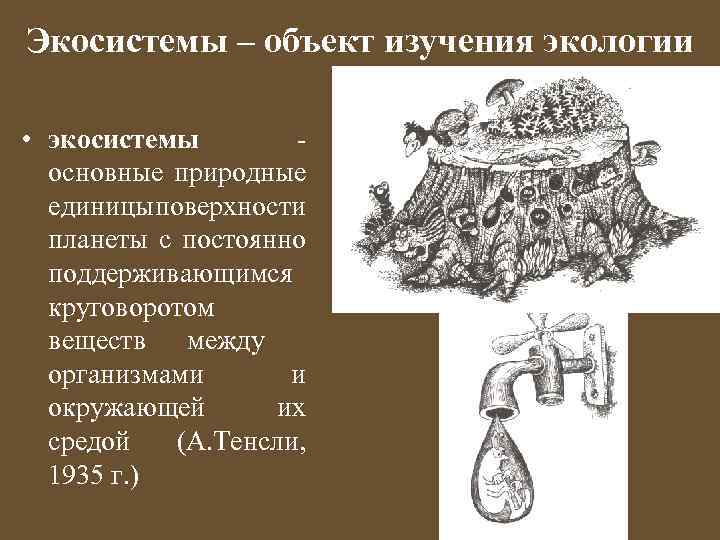 Экосистемы – объект изучения экологии • экосистемы основные природные единицы поверхности планеты c постоянно