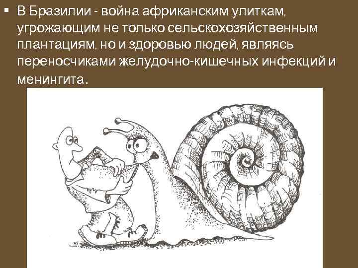  • В Бразилии - война африканским улиткам, угрожающим не только сельскохозяйственным плантациям, но