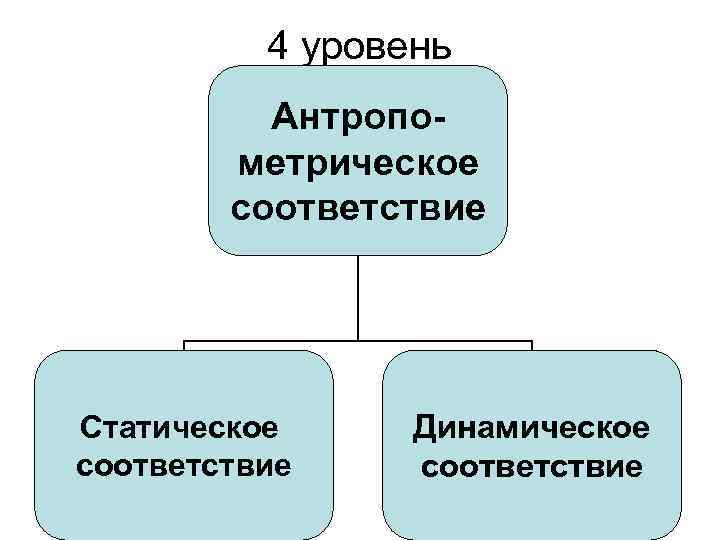 4 уровень Антропометрическое соответствие Статическое соответствие Динамическое соответствие 