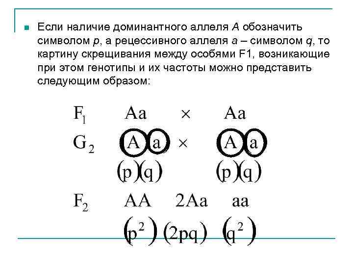 n Если наличие доминантного аллеля A обозначить символом p, а рецессивного аллеля a –