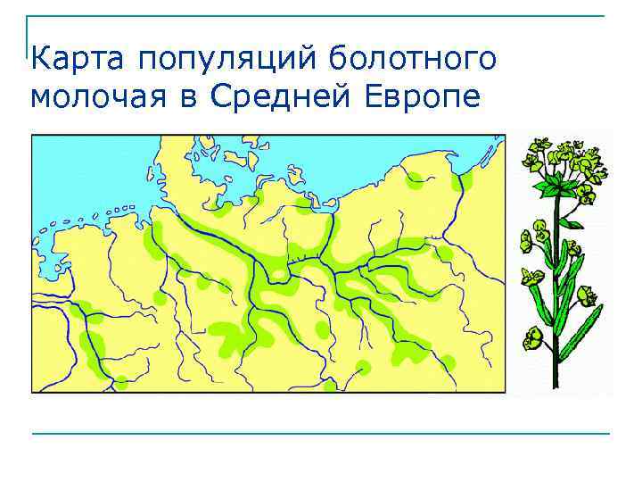 Карта популяций болотного молочая в Средней Европе n 