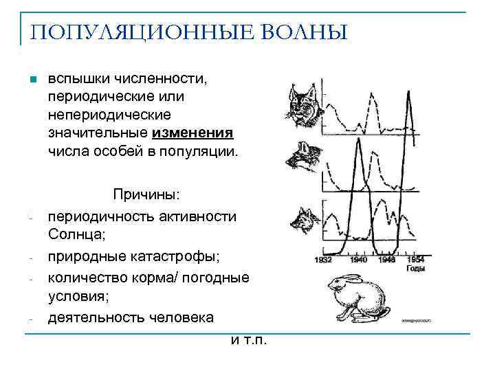 ПОПУЛЯЦИОННЫЕ ВОЛНЫ n - - - вспышки численности, периодические или непериодические значительные изменения числа