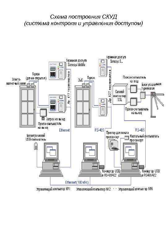 Схема построения СКУД (система контроля и управления доступом) 